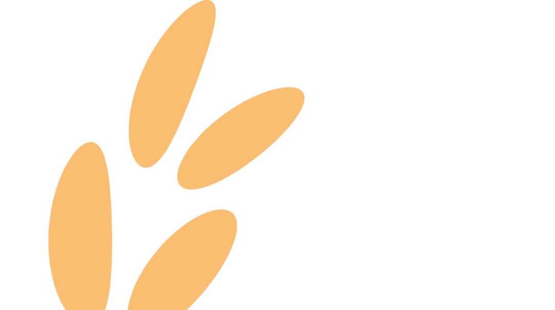 20240506101639_3034_1081x605