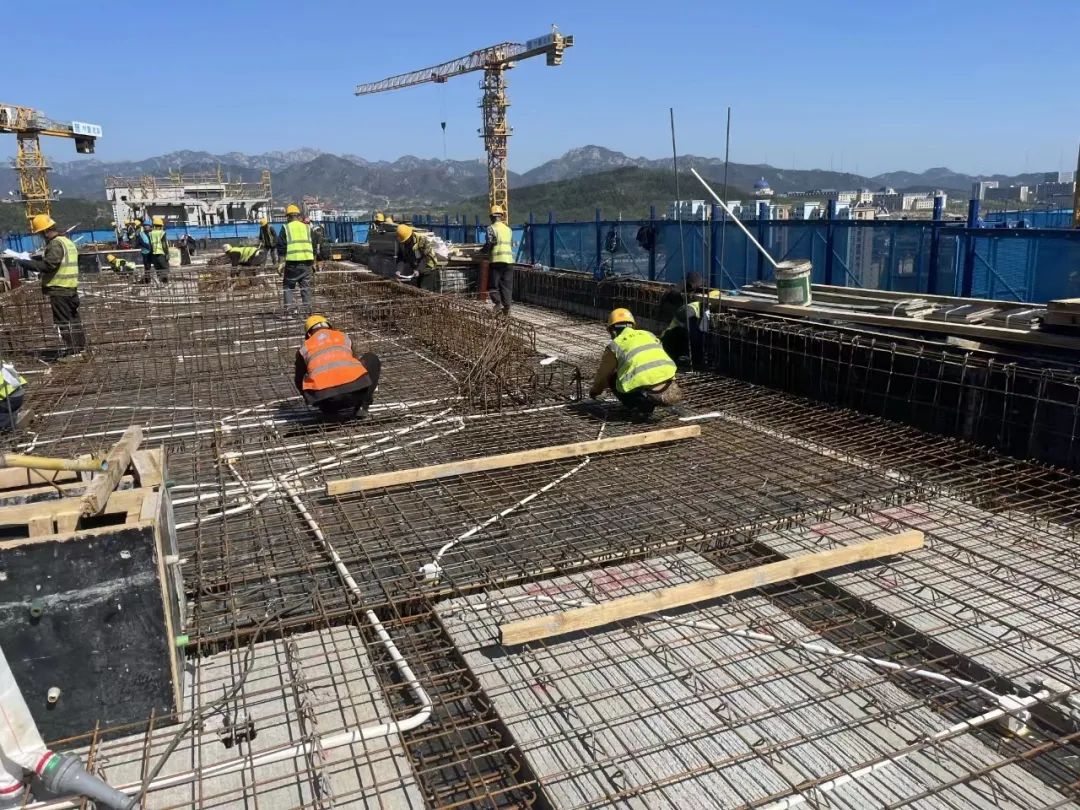 20240506102428_3279 20240506102428_3279