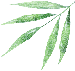 20240613135349_4103 20240613135349_4103