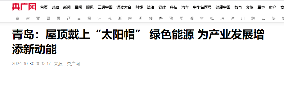 20241106095247_9793 20241106095247_9793