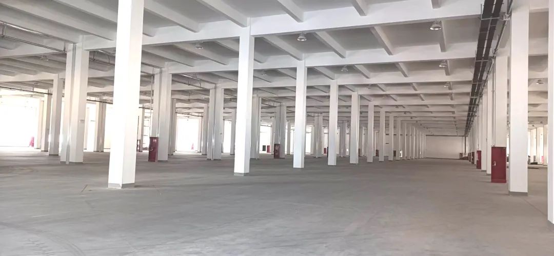 20250324160420_4415 20250324160420_4415