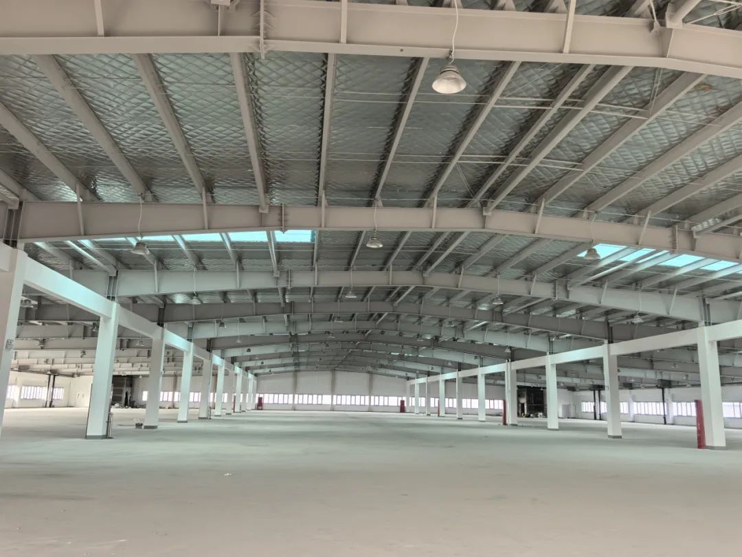 20250324160420_6931 20250324160420_6931