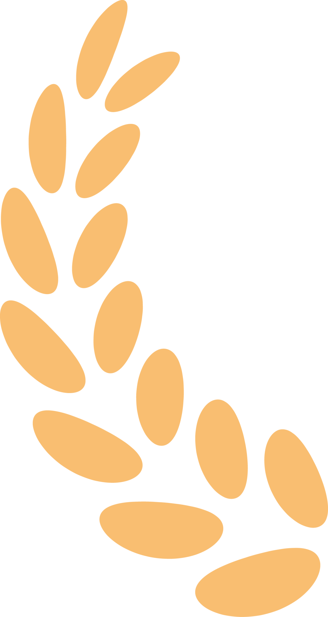 20250514155229_1297 20250514155229_1297