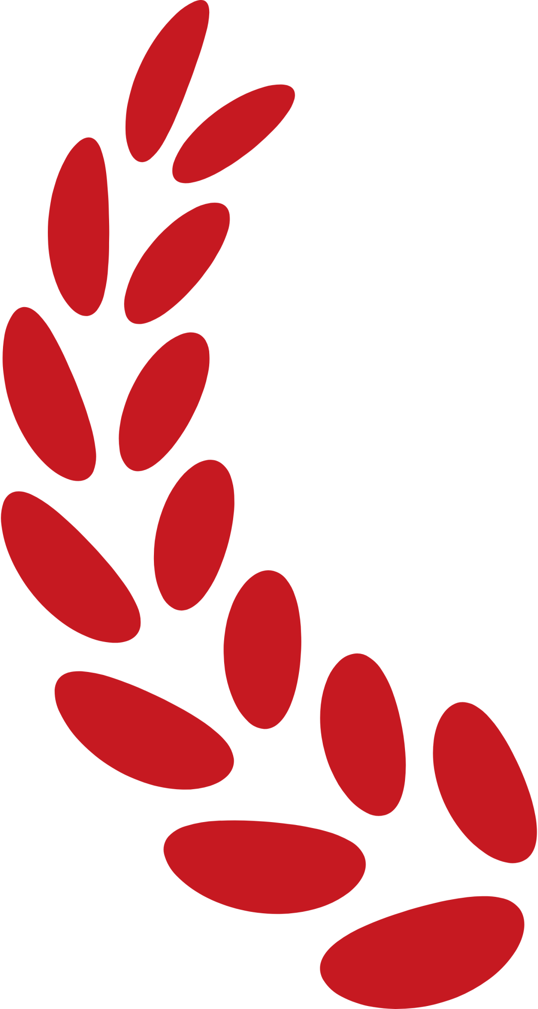 20250514160434_2373 20250514160434_2373