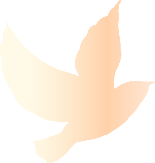 20250514160434_4051 20250514160434_4051