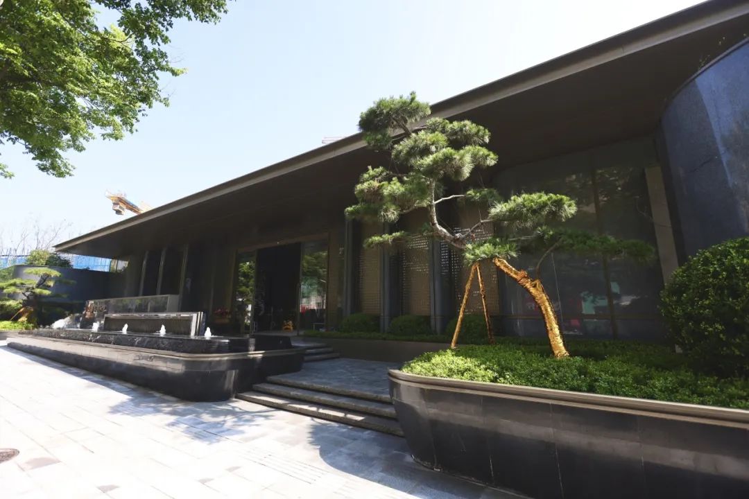 20250701180602_7311 20250701180602_7311