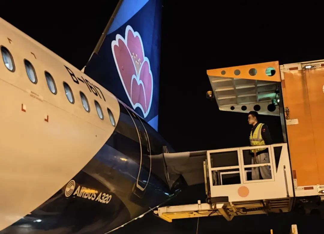 20250708172913_1456 20250708172913_1456