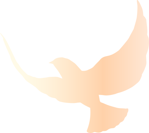 20250708173538_6408 20250708173538_6408