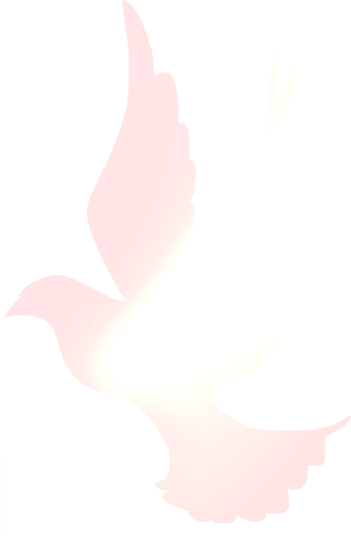 20250716143700_5486 20250716143700_5486