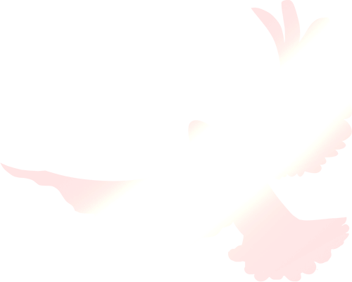 20250716143701_1839 20250716143701_1839