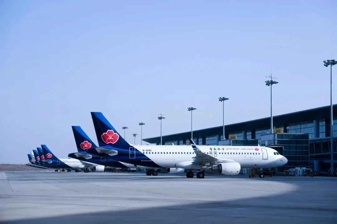 20250723150109_3637 20250723150109_3637