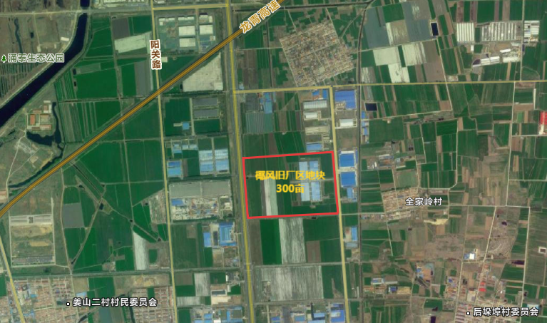 20250813151044_7998 20250813151044_7998