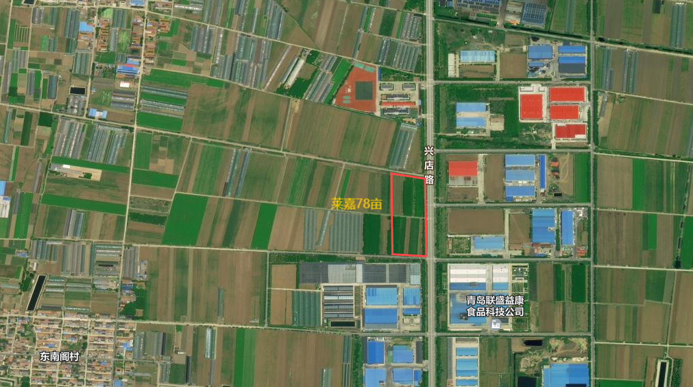 20250813151046_5113 20250813151046_5113